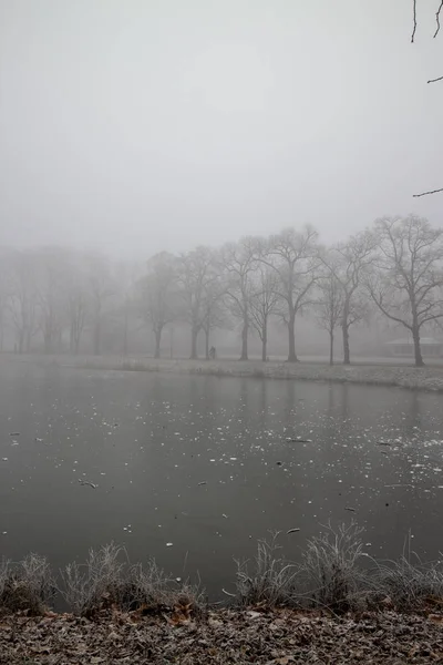 Paisagem Parque Leipzig Inverno Com Árvores Geladas Tempo Nevoeiro Gelado — Fotografia de Stock