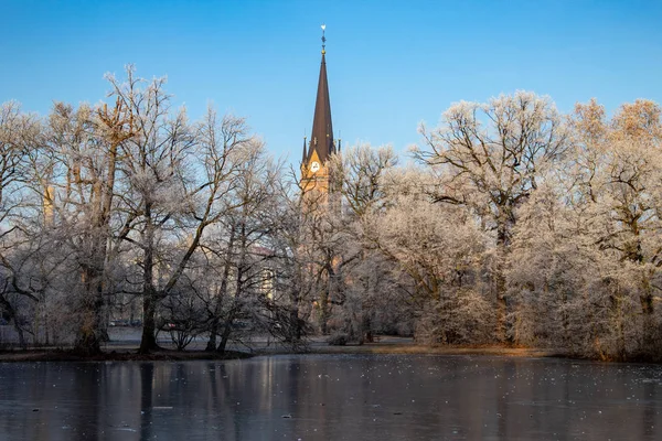Lago Congelado Parque Com Pontes Românticas Inverno Leipzig Tempo Gelado — Fotografia de Stock