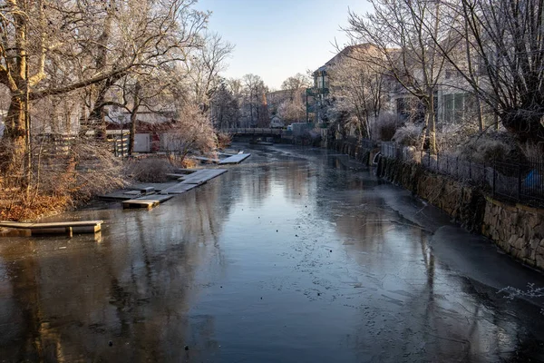 Vista Del Río Parcialmente Congelado Weisse Elster Con Árboles Una — Foto de Stock