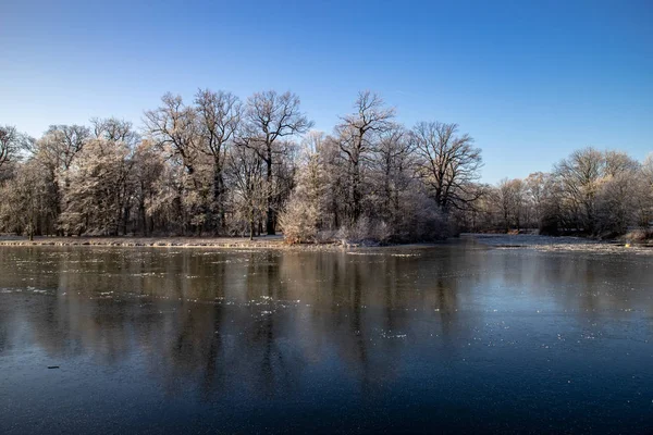Vista Rio Parcialmente Congelado Weisse Elster Com Árvores Açude Céu — Fotografia de Stock