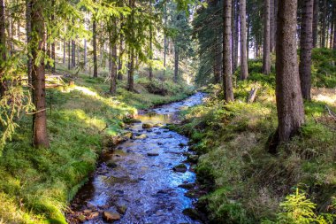 Johanngeorgenstadt kasaba çevresini hiking Teufelsstein Steinbach-Ore Mountains görünümünden / Eibenstock gökyüzünün önünde rock manzara, akarsu, orman ve yeşil alanlarla