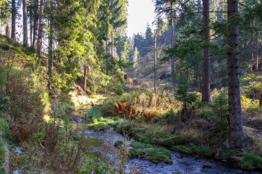 Johanngeorgenstadt kasaba çevresini hiking Teufelsstein Steinbach-Ore Mountains görünümünden / Eibenstock gökyüzünün önünde rock manzara, akarsu, orman ve yeşil alanlarla