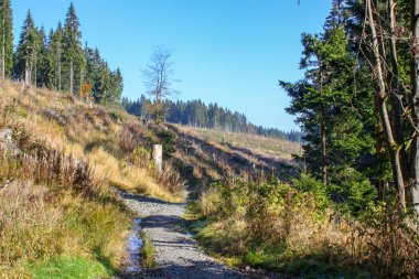 Johanngeorgenstadt kasaba çevresini hiking Teufelsstein Steinbach-Ore Mountains görünümünden / Eibenstock gökyüzünün önünde rock manzara, akarsu, orman ve yeşil alanlarla