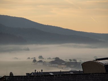 Erken sabah sis Bohemian Forest peyzaj