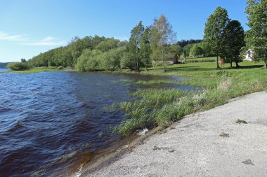 Panorama çayır ve orman ile Çek Cumhuriyeti ve Avusturya sınırındaki Vltava Nehri'nin Lipno rezervuar.