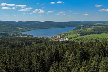 Panorama çayır ve orman ile Çek Cumhuriyeti ve Avusturya sınırındaki Vltava Nehri'nin Lipno rezervuar.