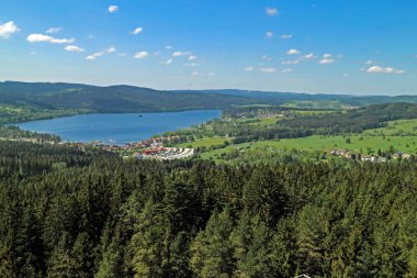Panorama çayır ve orman ile Çek Cumhuriyeti ve Avusturya sınırındaki Vltava Nehri'nin Lipno rezervuar.