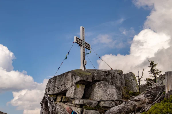 Fotografie Vârful Muntelui Ploeckenstein Granița Dintre Republica Cehă Austria Pădurea — Fotografie, imagine de stoc