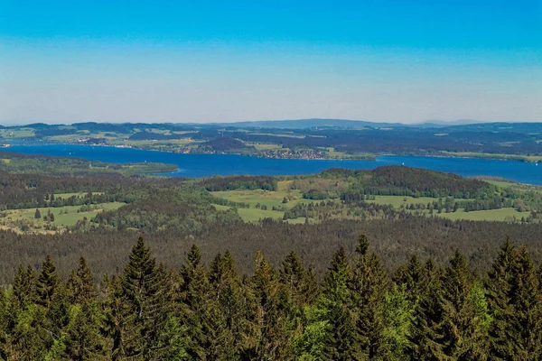 Panorama Çayır Orman Ile Çek Cumhuriyeti Avusturya Sınırındaki Vltava Nehri — Stok fotoğraf