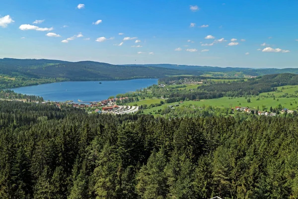 Panorama Lipenské Přehrady Řeky Vltavy Hranici Rakouska Loukami Lesy — Stock fotografie