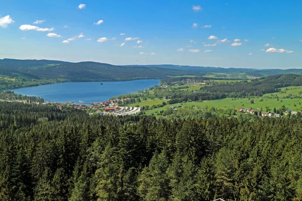 Panorama çayır ve orman ile Çek Cumhuriyeti ve Avusturya sınırındaki Vltava Nehri'nin Lipno rezervuar.