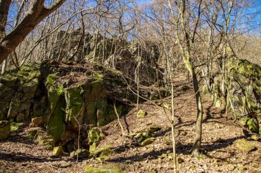 Şehir Thale, Harz yosunlu ağaçlar ile ormanlar aracılığıyla harika yürüyüş parkurları ile turistik Hexentanzplatz ve Rosstrappe ile