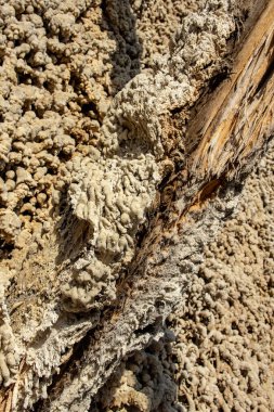 Weir ile Saksonya-Anhalt'taki Saale Nehri'nin görünümü