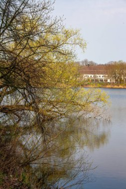 Eski ağaçlar ve mavi gökyüzü ile Leipzig Auensee eski kilitli köprü