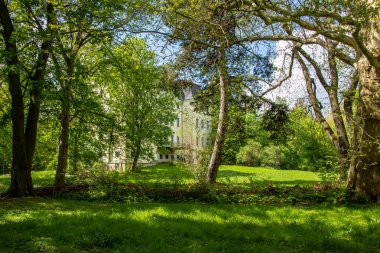 Leipzig Grosszschocher-Knautkleeberg bölgesinde nehir ile yeşil doğal ormanların görünümü