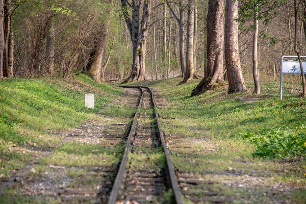 Uitzicht Spoorwegen Van Miniatuur Park Railroa — Stockfoto