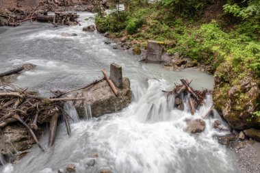 Buerser Schlucht, Vorarlberg, Avusturya - neredeyse ilkel orman gibi ağaç nüfusu ve vahşi nehir çalışır ile Alpler'de en güzel manzara.