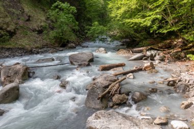 Buerser Schlucht, Vorarlberg, Avusturya - neredeyse ilkel orman gibi ağaç nüfusu ve vahşi nehir çalışır ile Alpler'de en güzel manzara.