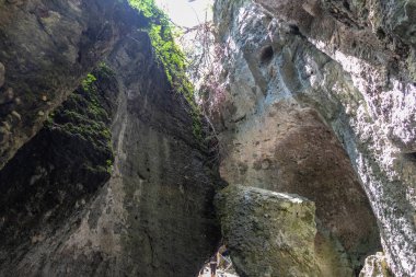 Buerser Schlucht, Vorarlberg, Avusturya - neredeyse ilkel orman gibi ağaç nüfusu ve vahşi nehir çalışır ile Alpler'de en güzel manzara.