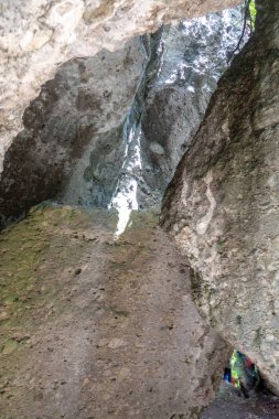 Buerser Schlucht, Vorarlberg, Avusturya - neredeyse ilkel orman gibi ağaç nüfusu ve vahşi nehir çalışır ile Alpler'de en güzel manzara.