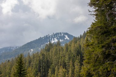 Avusturya Alpleri'nde kar ile ilkbaharda yüksek dağlar, yeşil çayırlar ve ağaçlar ile bir alp manzara Panorama