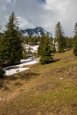 Avusturya Alpleri'nde kar ile ilkbaharda yüksek dağlar, yeşil çayırlar ve ağaçlar ile bir alp manzara Panorama