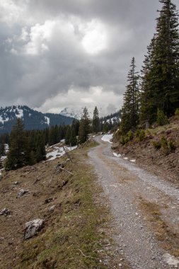 Avusturya Alpleri'nde kar ile ilkbaharda yüksek dağlar, yeşil çayırlar ve ağaçlar ile bir alp manzara Panorama