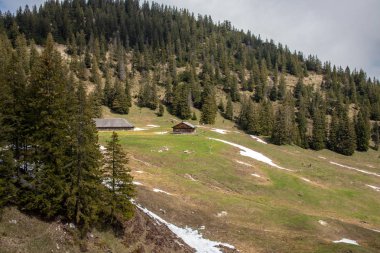 Avusturya Alpleri'nde kar ile ilkbaharda yüksek dağlar, yeşil çayırlar ve ağaçlar ile bir alp manzara Panorama