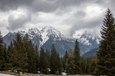 Avusturya Alpleri'nde kar ile ilkbaharda yüksek dağlar, yeşil çayırlar ve ağaçlar ile bir alp manzara Panorama