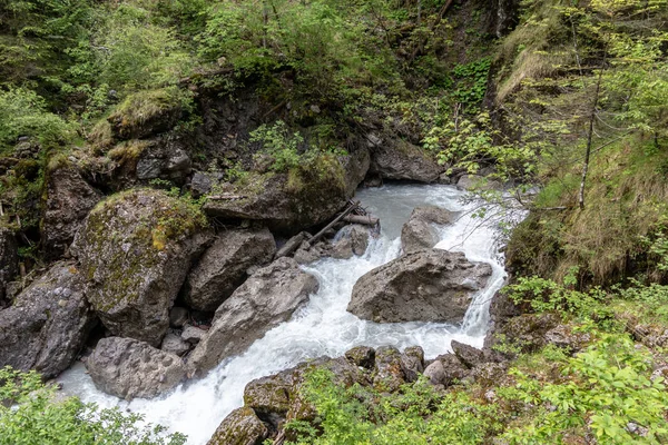 Buerser Schlucht, Vorarlberg, Avusturya - neredeyse ilkel orman gibi ağaç nüfusu ve vahşi nehir çalışır ile Alpler'de en güzel manzara.