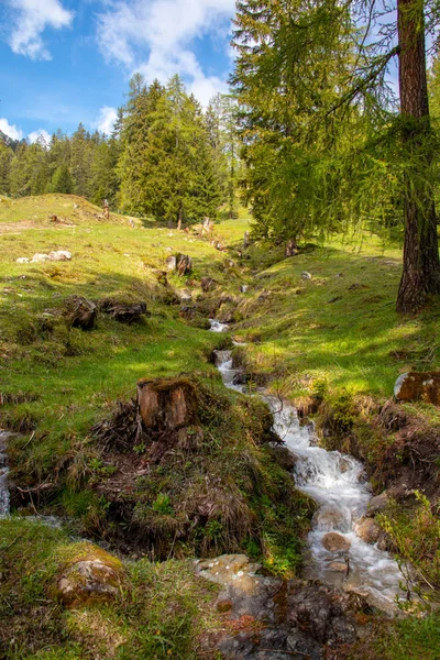 Nehir, akarsu ve şelaleler ile Avusturya Alpleri'nde el değmemiş manzara panoraması