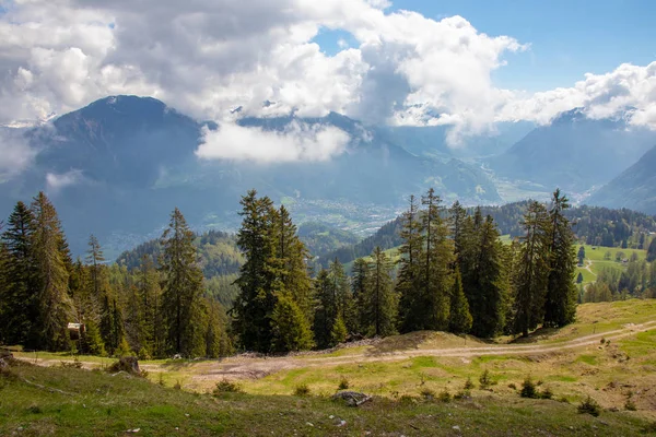 Panorama Van Een Alpenlandschap Met Hoge Bergen Groene Weiden Bomen — Stockfoto