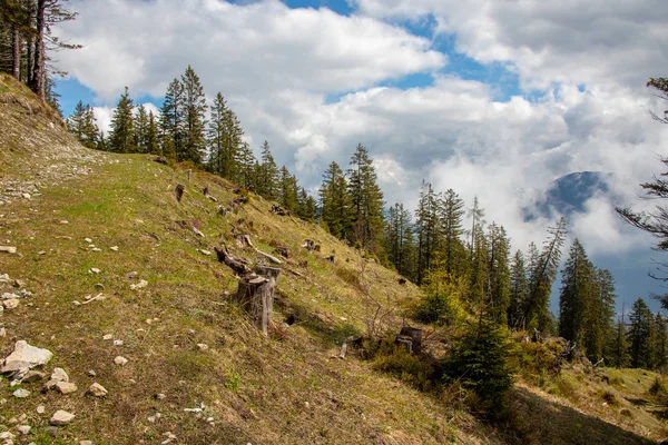 Panorama Paysage Alpin Avec Hautes Montagnes Des Prairies Verdoyantes Des — Photo