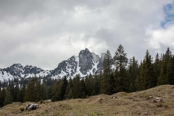 Panorama Alpejskiego Krajobrazu Wysokimi Górami Zielonymi Łąkami Drzewami Wiosną Śniegiem — Zdjęcie stockowe