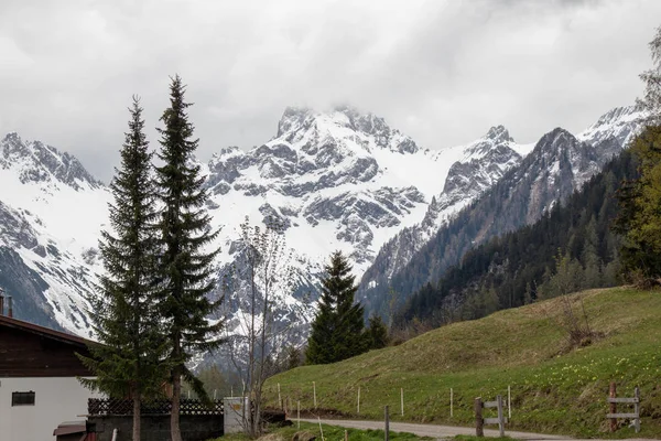 Panorama Paisaje Alpino Con Altas Montañas Verdes Prados Árboles Primavera — Foto de Stock