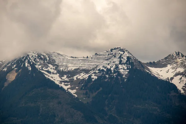Panorama Van Een Alpenlandschap Met Hoge Bergen Groene Weiden Bomen — Stockfoto