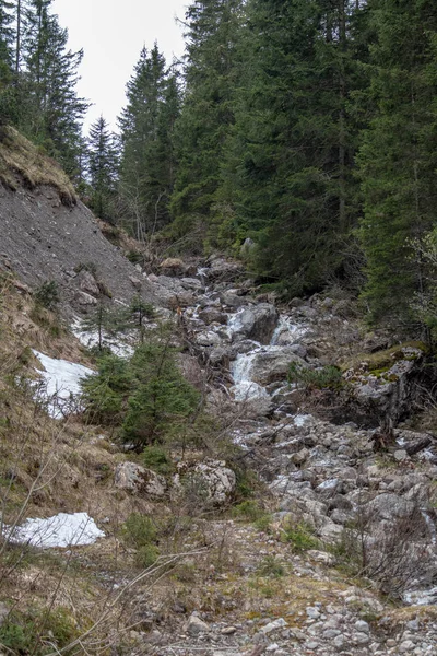 Panorama Paisajes Vírgenes Los Alpes Austríacos Con Río Arroyos Cascadas — Foto de Stock