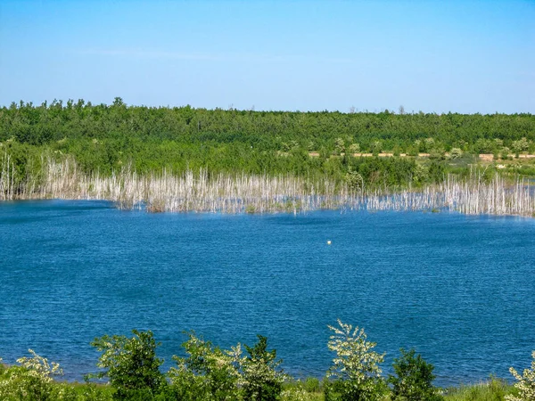 Вид Озера Цвенкауер Побачити Півдні Лейпцига Прекрасними Блакитними Водами — стокове фото