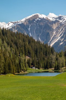 Davos / Kloster bölgesinde İsviçre Alpleri'nde yüksek dağların önünde küçük bir göl, eski bir ahşap kulübe, yeşil çayırgörünümü.