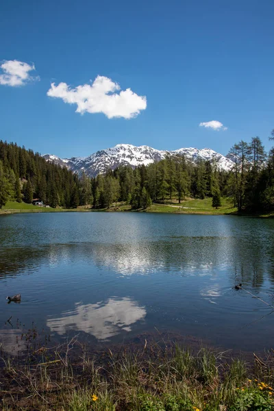 Pohled Malé Jezero Zelené Louky Před Vysokými Horami Modré Obloze — Stock fotografie