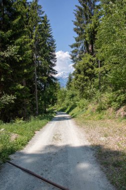 Arka planda dağlar bulunan ormanın ve yürüyüş parkurunun manzarası