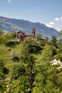 İsviçre Alpleri'nde ön planda çayırve ağaçlar ile eski bir kale görünümü