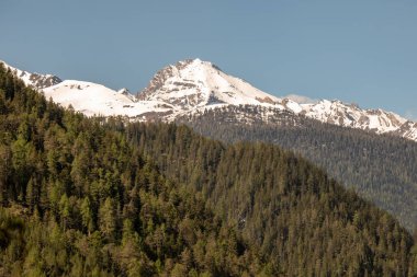 İsviçre Alpleri'nde mavi gökyüzünde yeşil ormanlık dağların arkasında karlı dağların görünümü