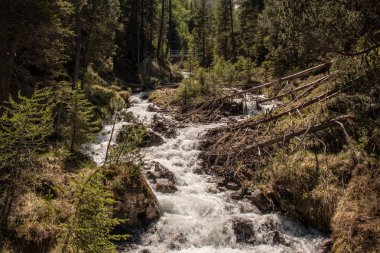 Mavi gökyüzü ile İsviçre alpleri ormanda vahşi bir nehir görünümü. Nehir bulanık..