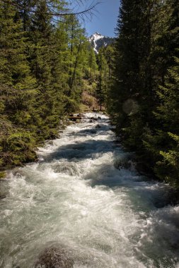 Mavi gökyüzü ile İsviçre alpleri ormanda vahşi bir nehir görünümü. Nehir bulanık..