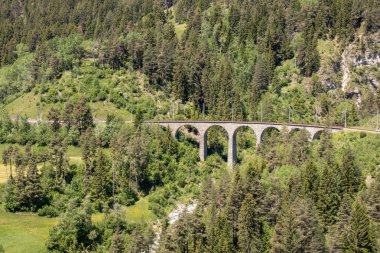 İsviçre Alpleri'nin Filisur köyü yakınlarındaki Rhaetian Demiryolu'nun tarihi Landwasser Viyadüğü'nden manzara