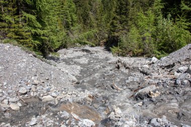 İsviçre alplerinde vahşi bir şelaleden manzara