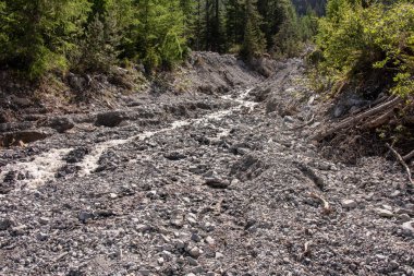 İsviçre alplerinde vahşi bir şelaleden manzara