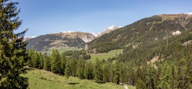İsviçre Alpleri'nde mavi gökyüzünde yeşil ormanlık dağların arkasında karlı dağların görünümü