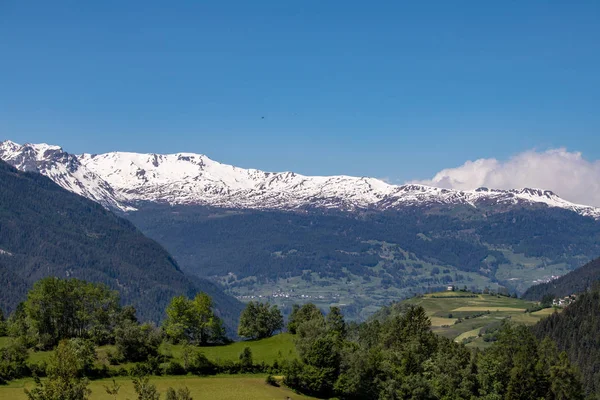 View of snowy mountains behind green wooded mountains at blue sky in swiss alps